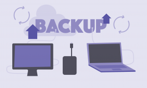 Having a Backup System Is Essential — No Matter the Season